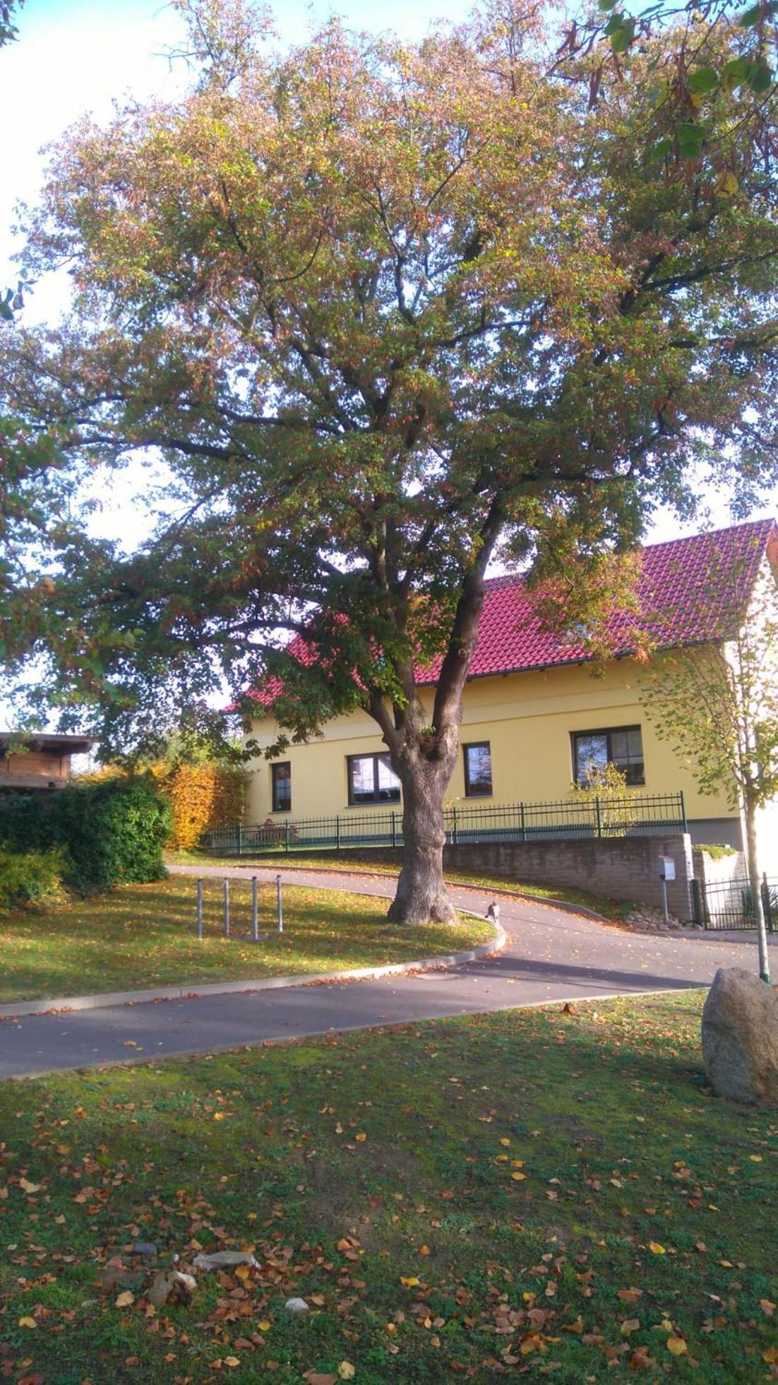 Ferienwohnung Perlitz Petersdorf  Экстерьер фото